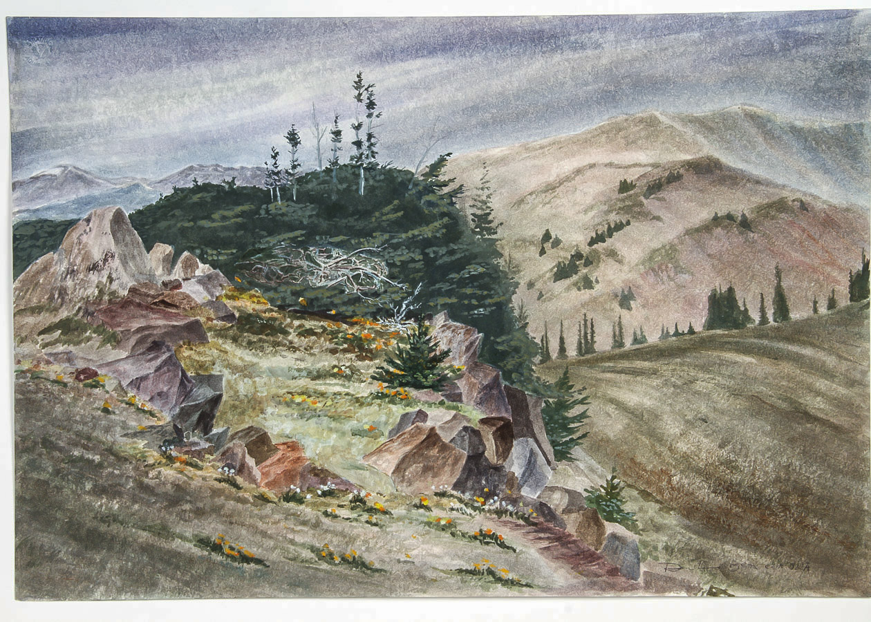 Dan Larsen Colored Pencil Drawing on Paper  "Panoramic Landscape"