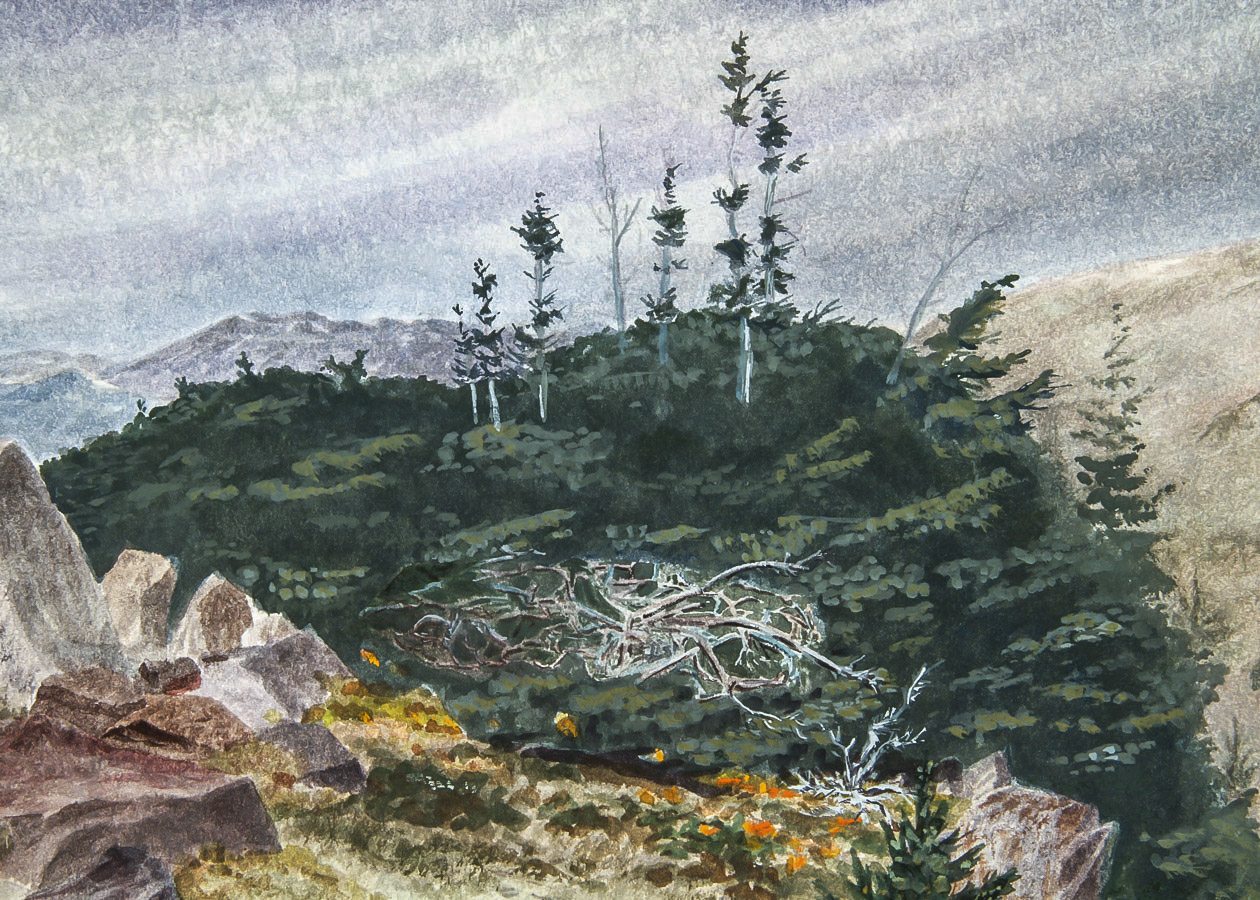 Dan Larsen Colored Pencil Drawing on Paper  "Panoramic Landscape"