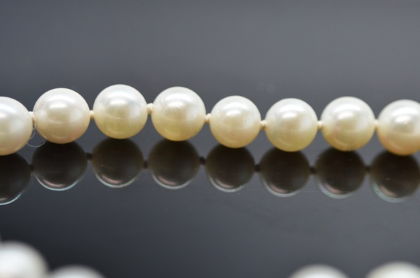 10K White Gold Clasp Akoya Cultured Pearl Bracelet