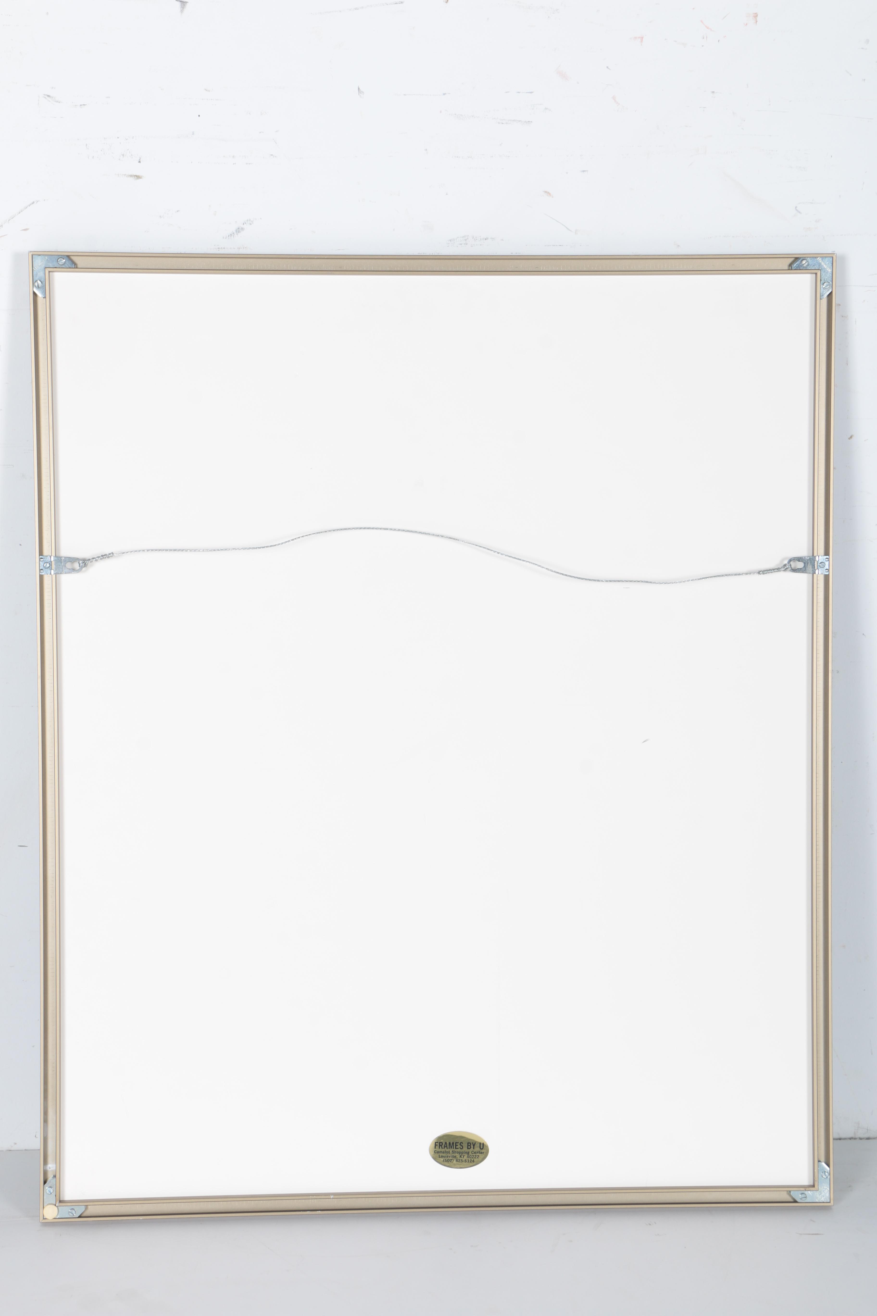 Offset Lithograph Of Plane