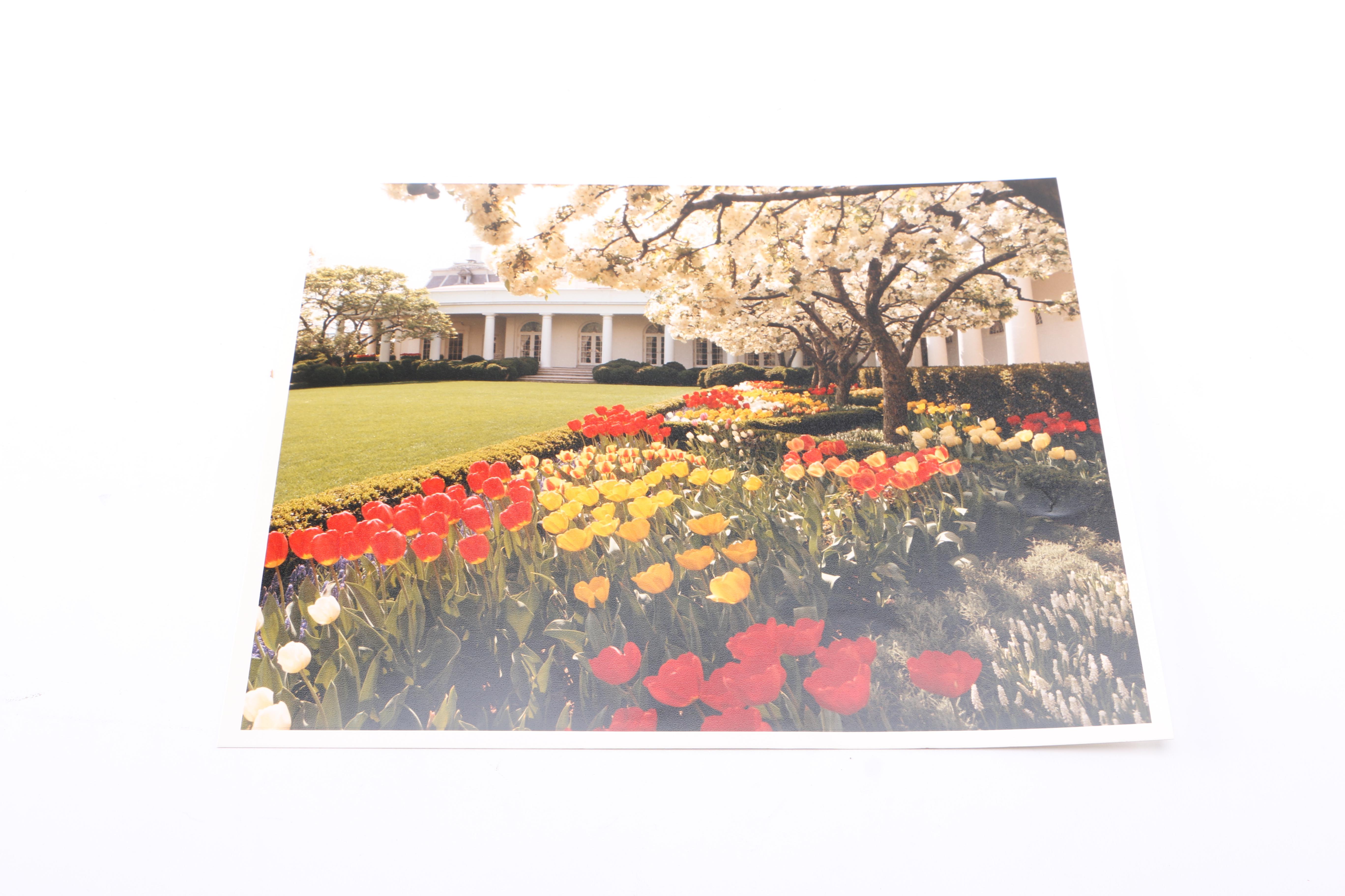 Presidential Color Photographs