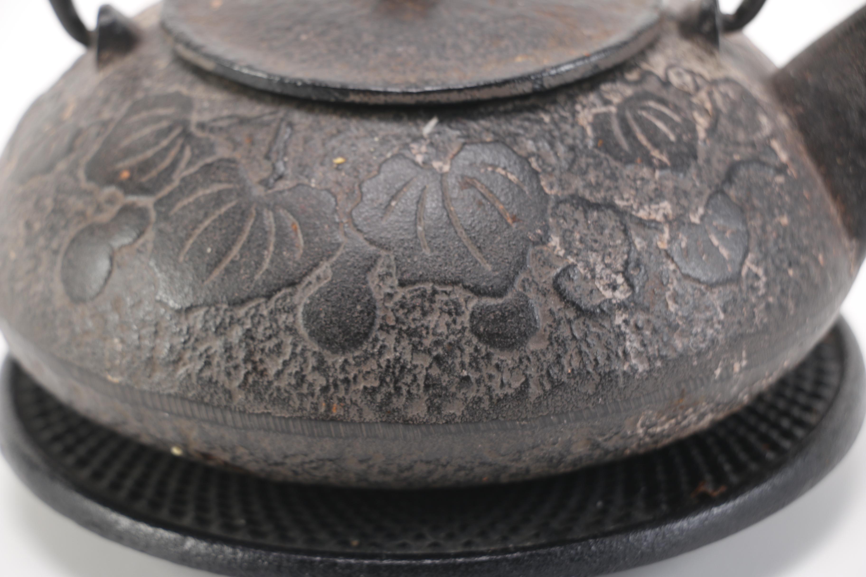 Japanese Cast Iron Tea Kettle