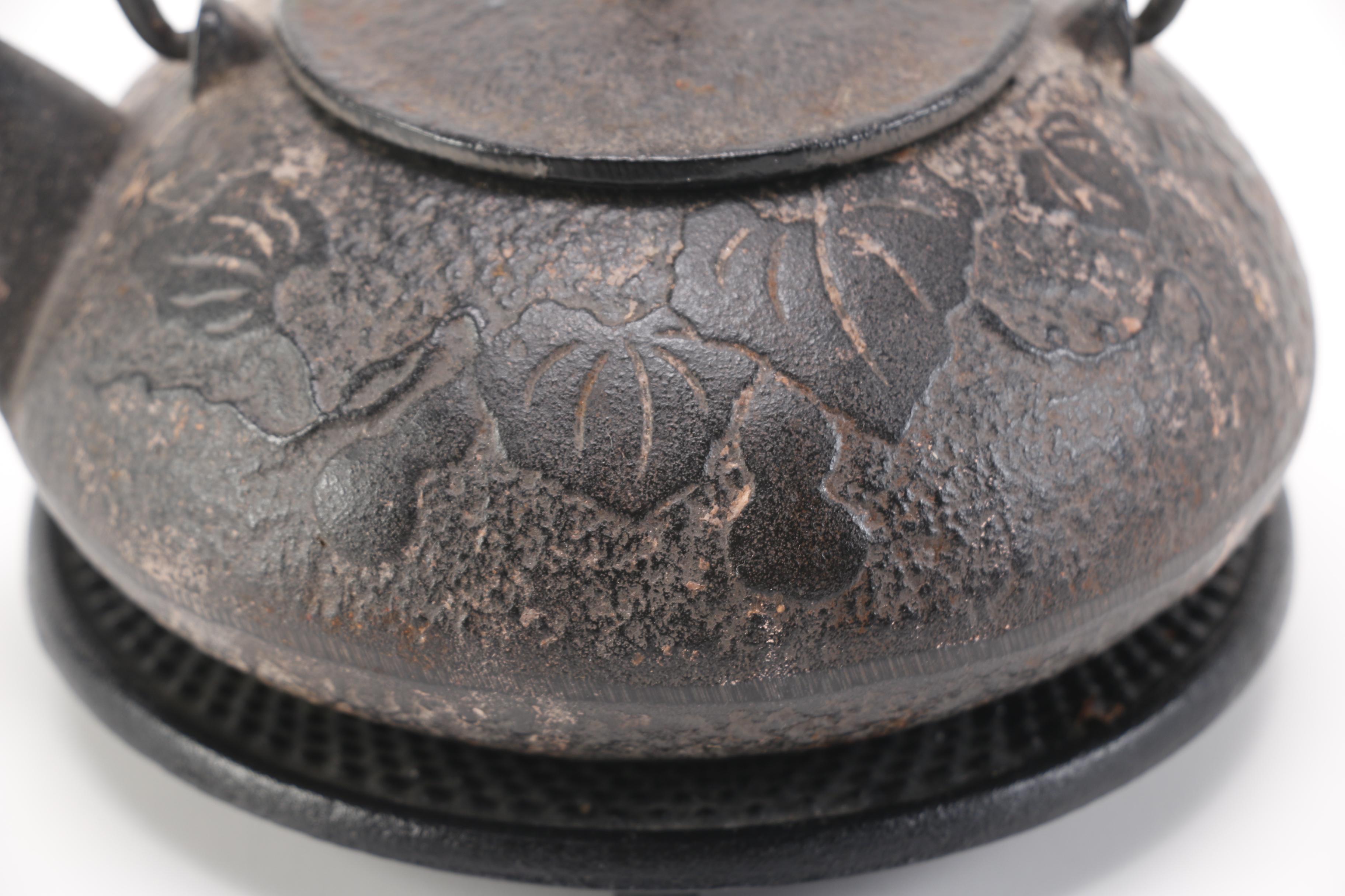 Japanese Cast Iron Tea Kettle