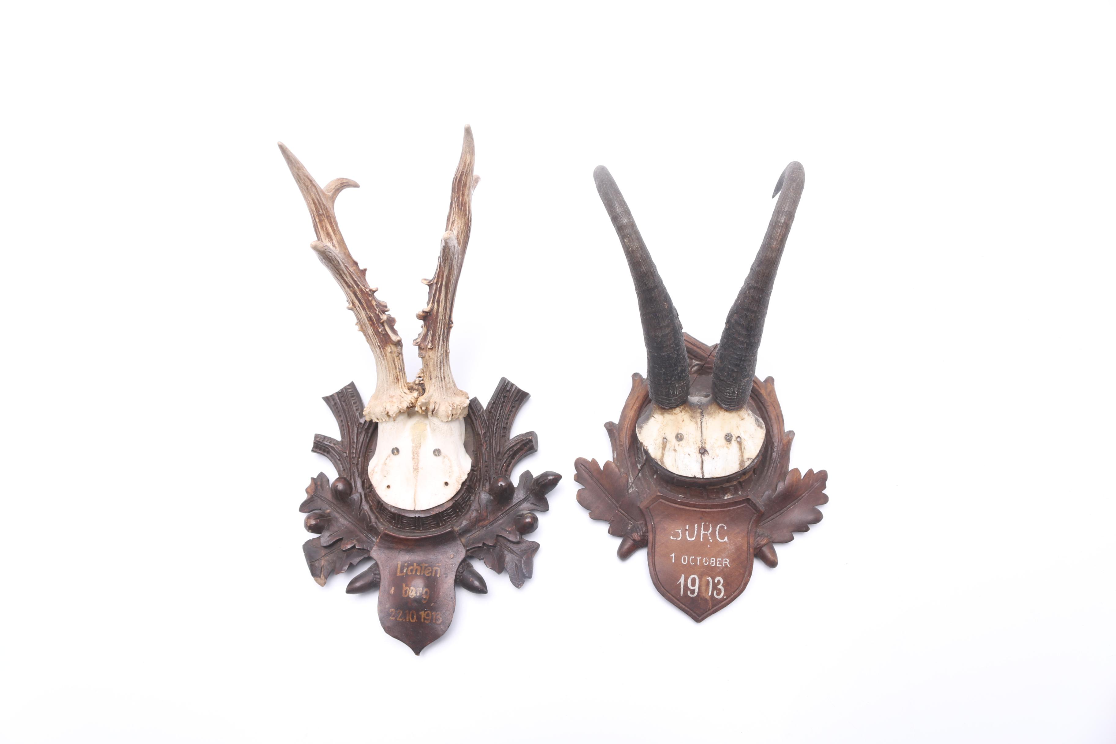 Antique Mounted Pronghorn and Deer Antlers