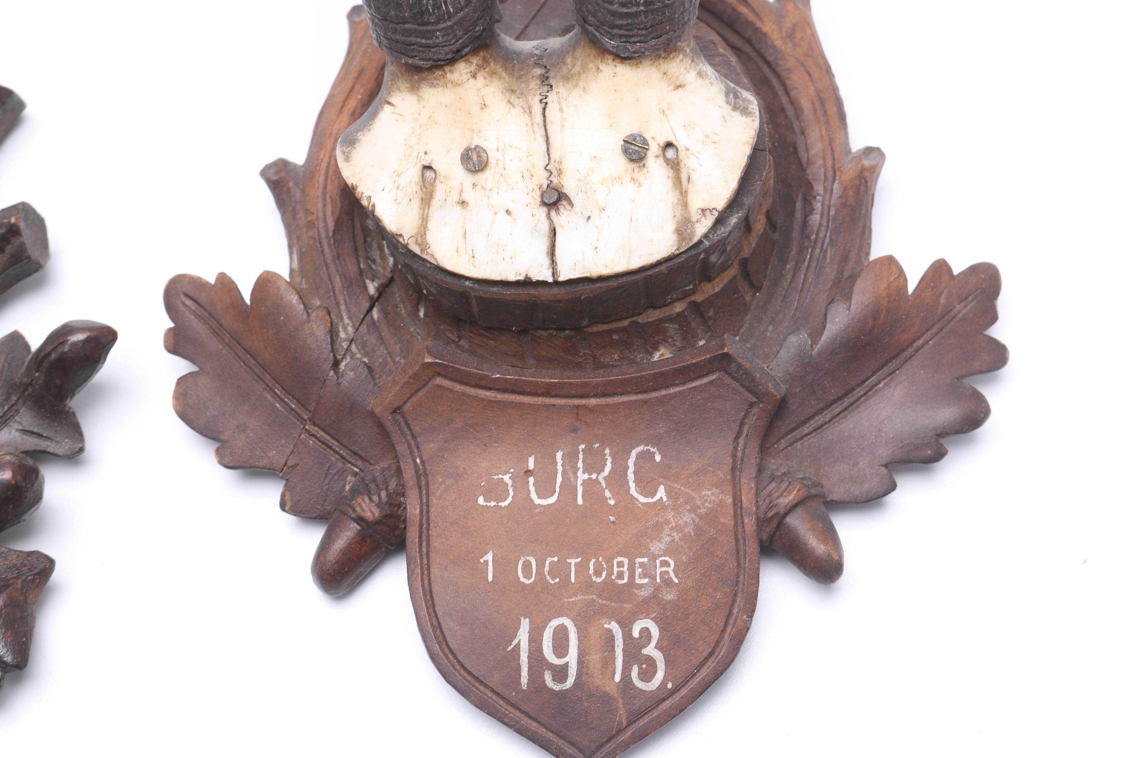 Antique Mounted Pronghorn and Deer Antlers