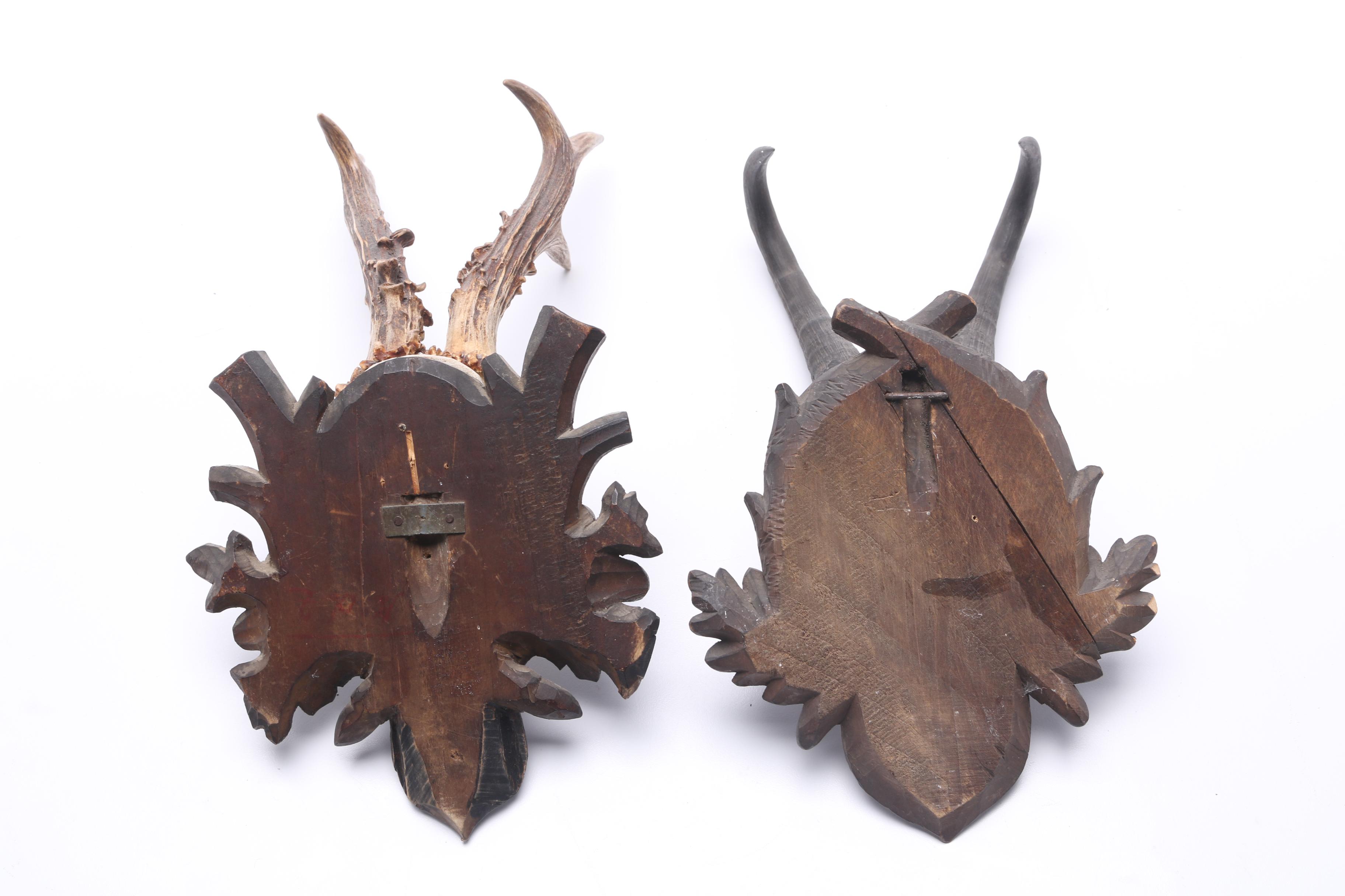 Antique Mounted Pronghorn and Deer Antlers