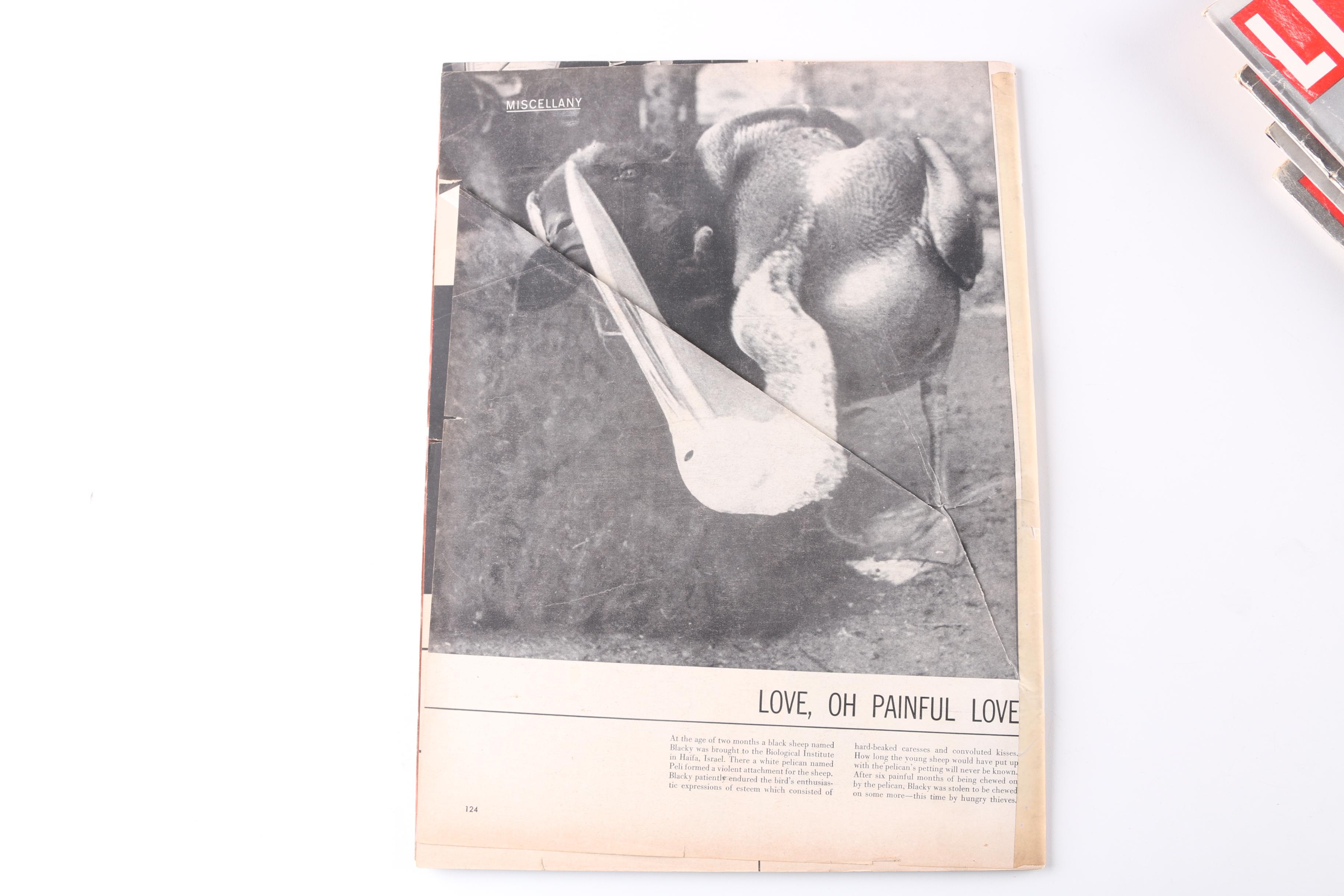 Collection of 1950s "Life" Magazines