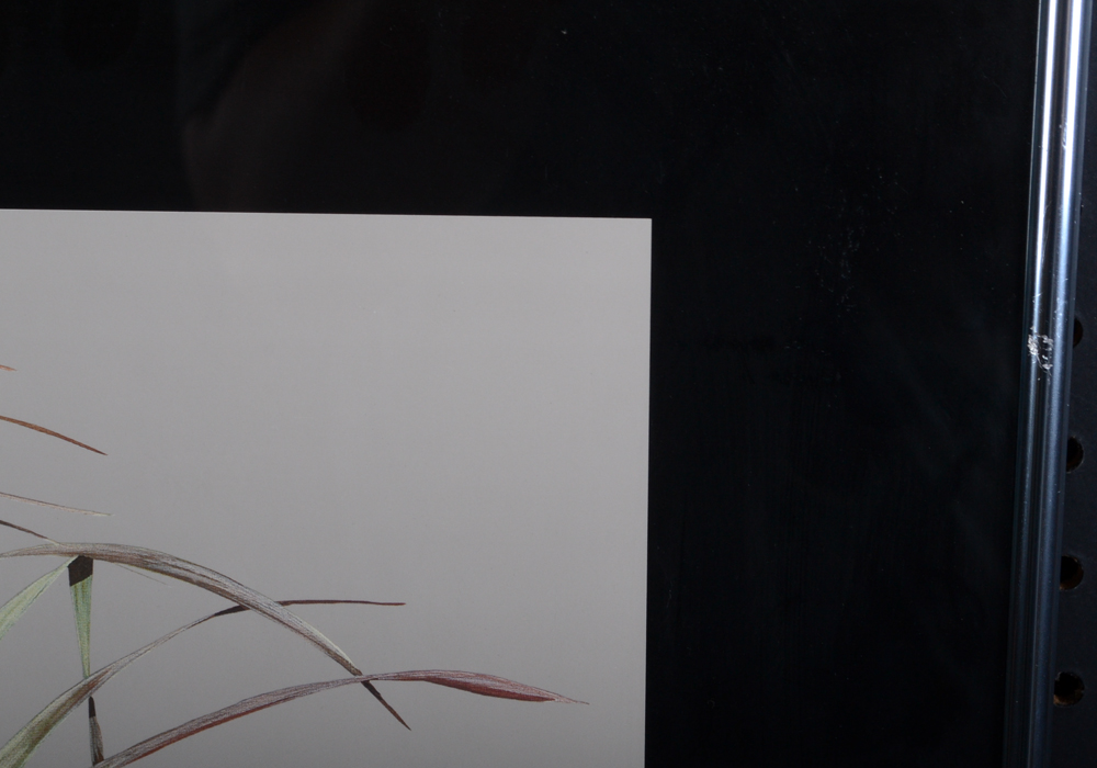 Pair of Art Lamay Signed "Waterfowl Festival" Offset Lithographs