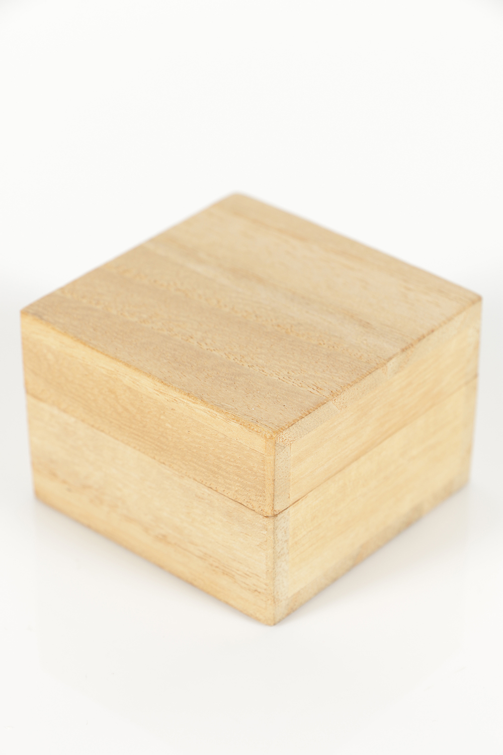 Chinese Gold-Plated Reproduction "King of Na" Seal