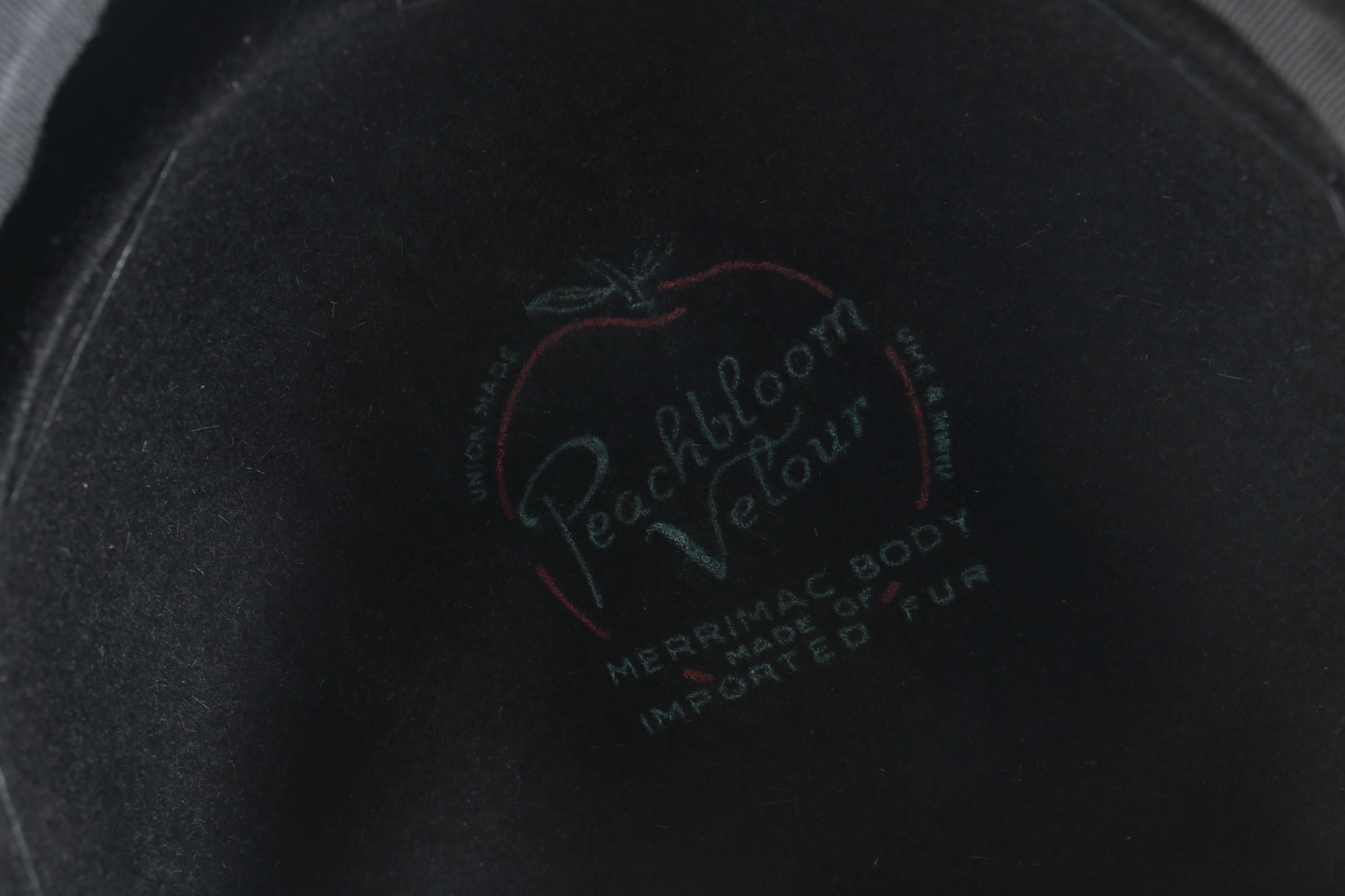 Vintage Hat and Birdcage Veil