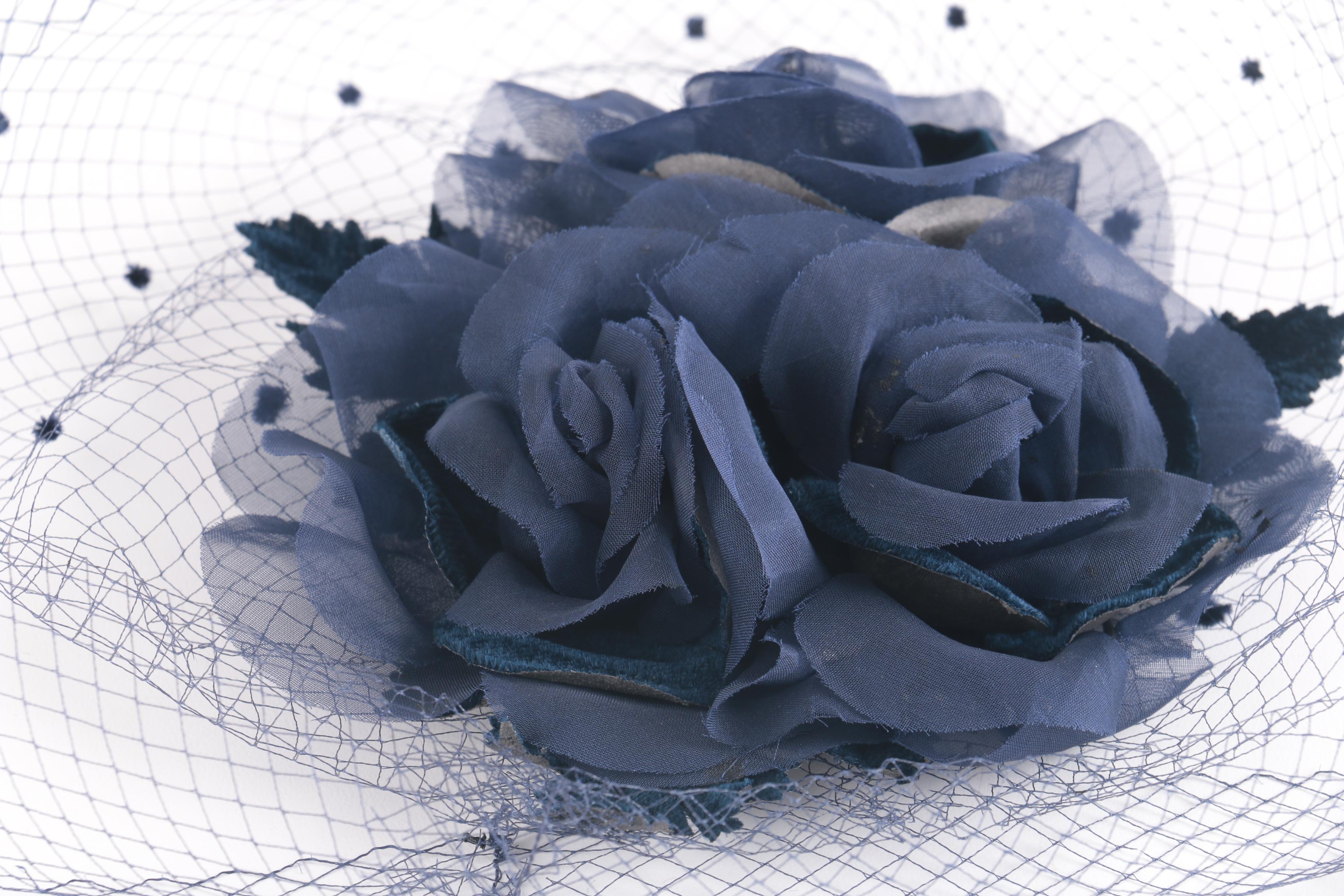 Vintage Hat and Birdcage Veil