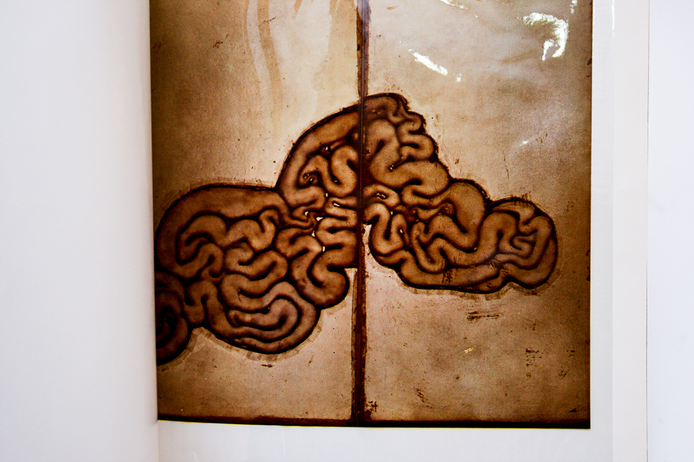 "A Plastic Presence Four Artists in Trans-Vision" Exhibit Book