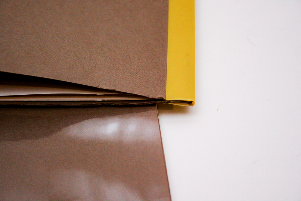 "A Plastic Presence Four Artists in Trans-Vision" Exhibit Book