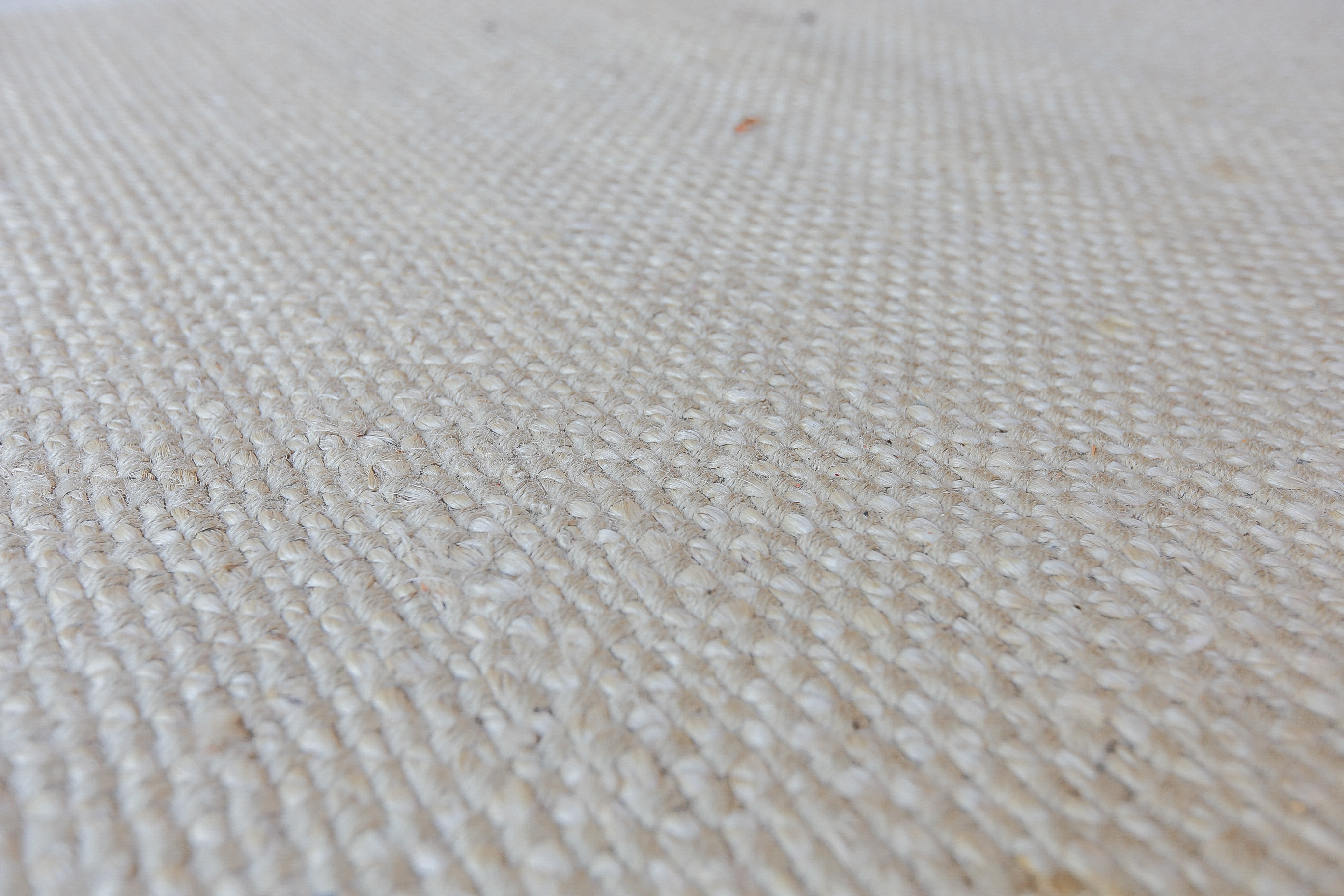 World Market Jute Area Rug