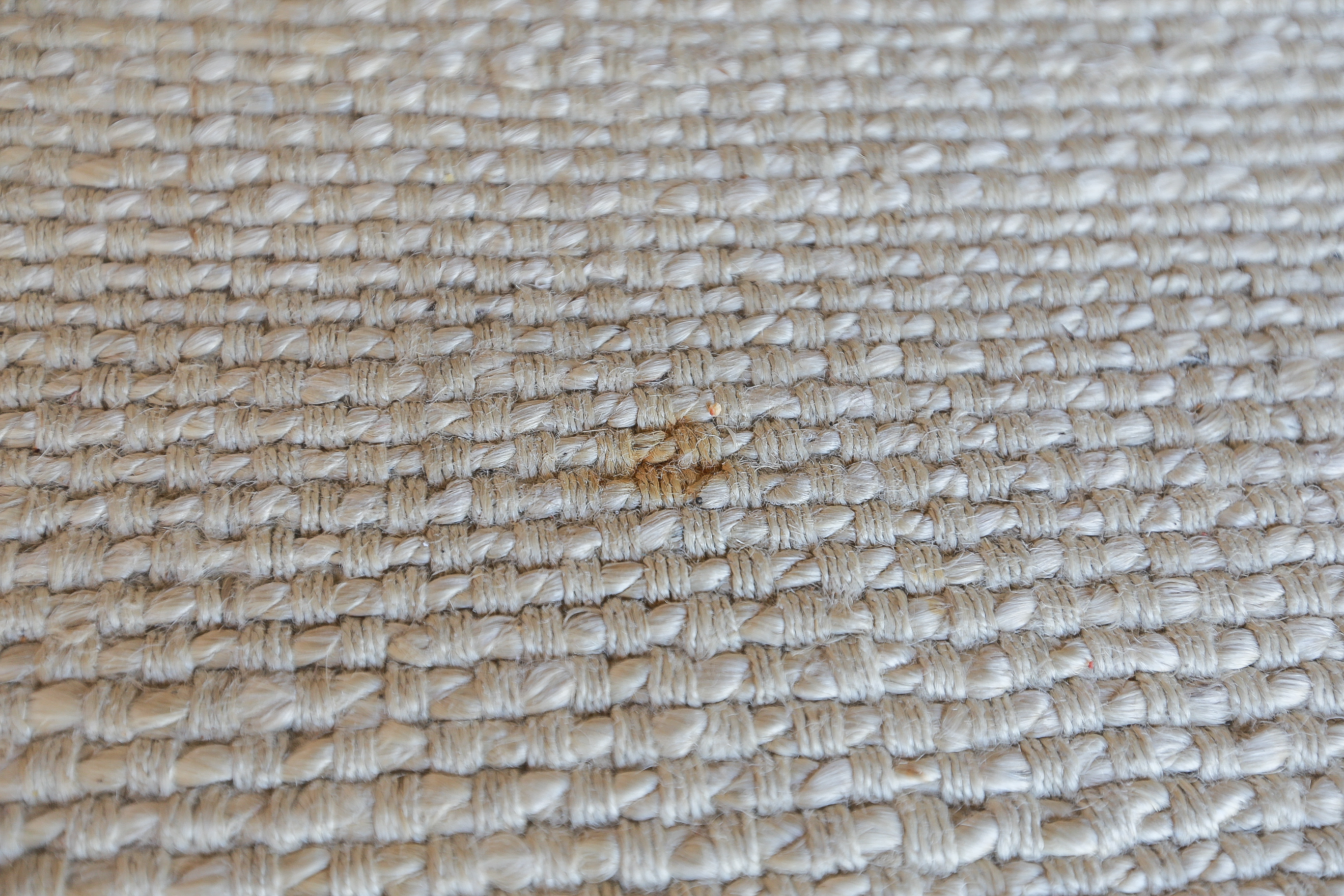 World Market Jute Area Rug