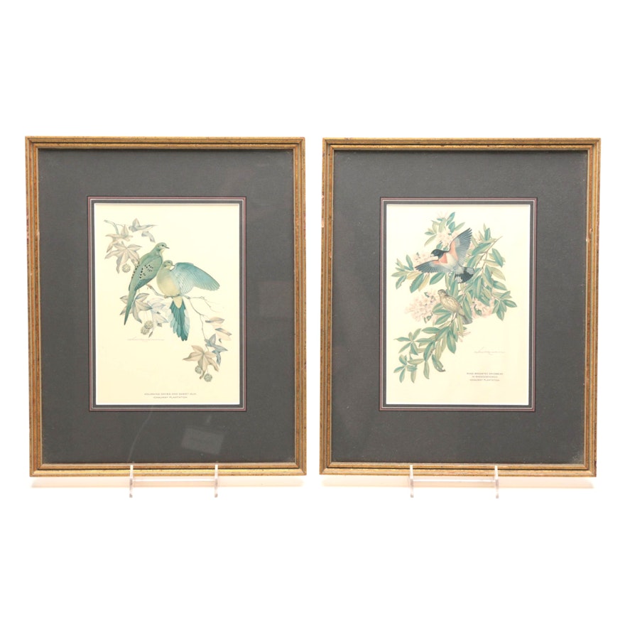 After Athos Menaboni Offset Lithographs "Rose-Breasted Grosbeak in Rhododendron Ichauway Plantation" and "Mourning Doves and Sweet Gum Ichauway Plantation"