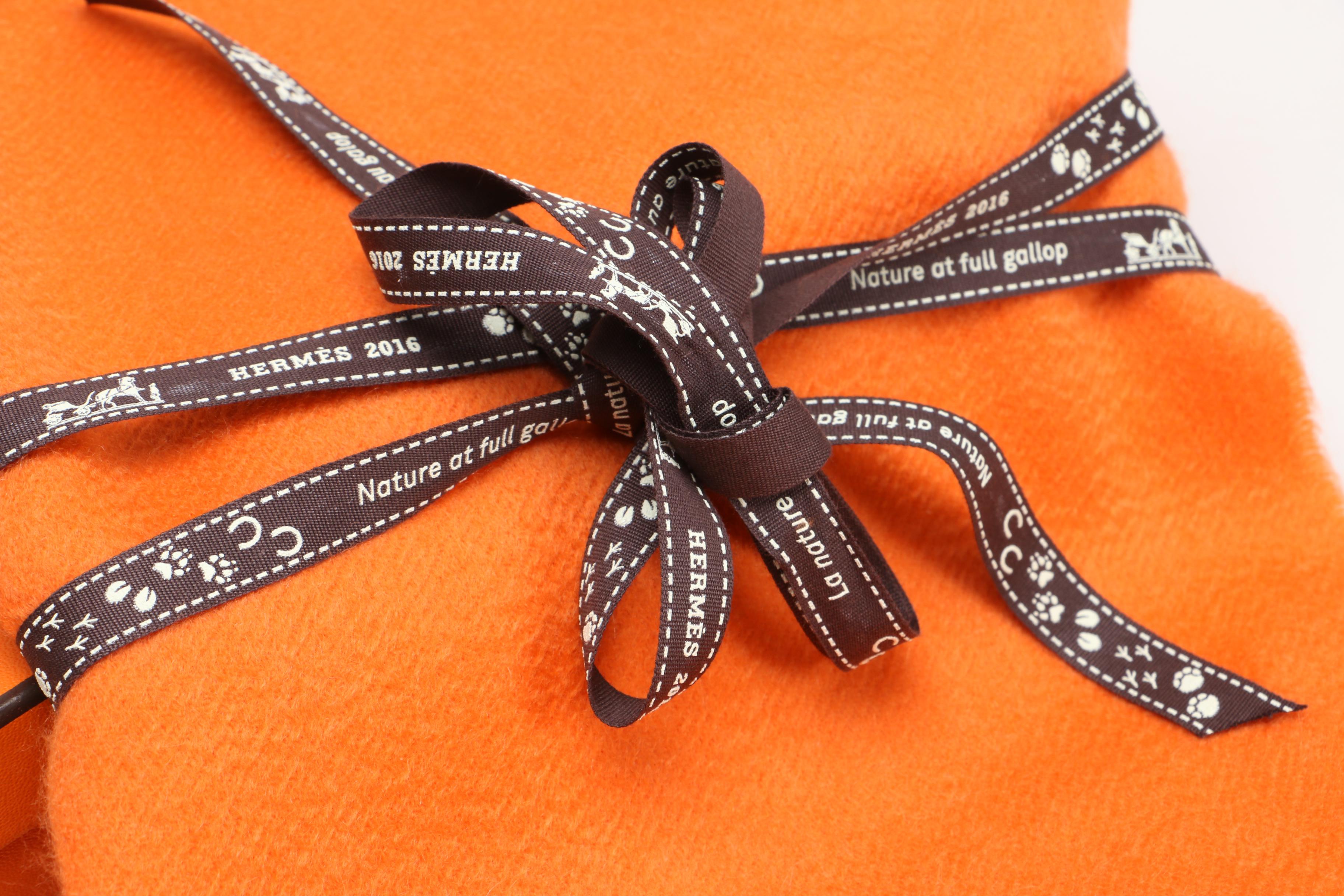 Hermès Cashmere Scarf