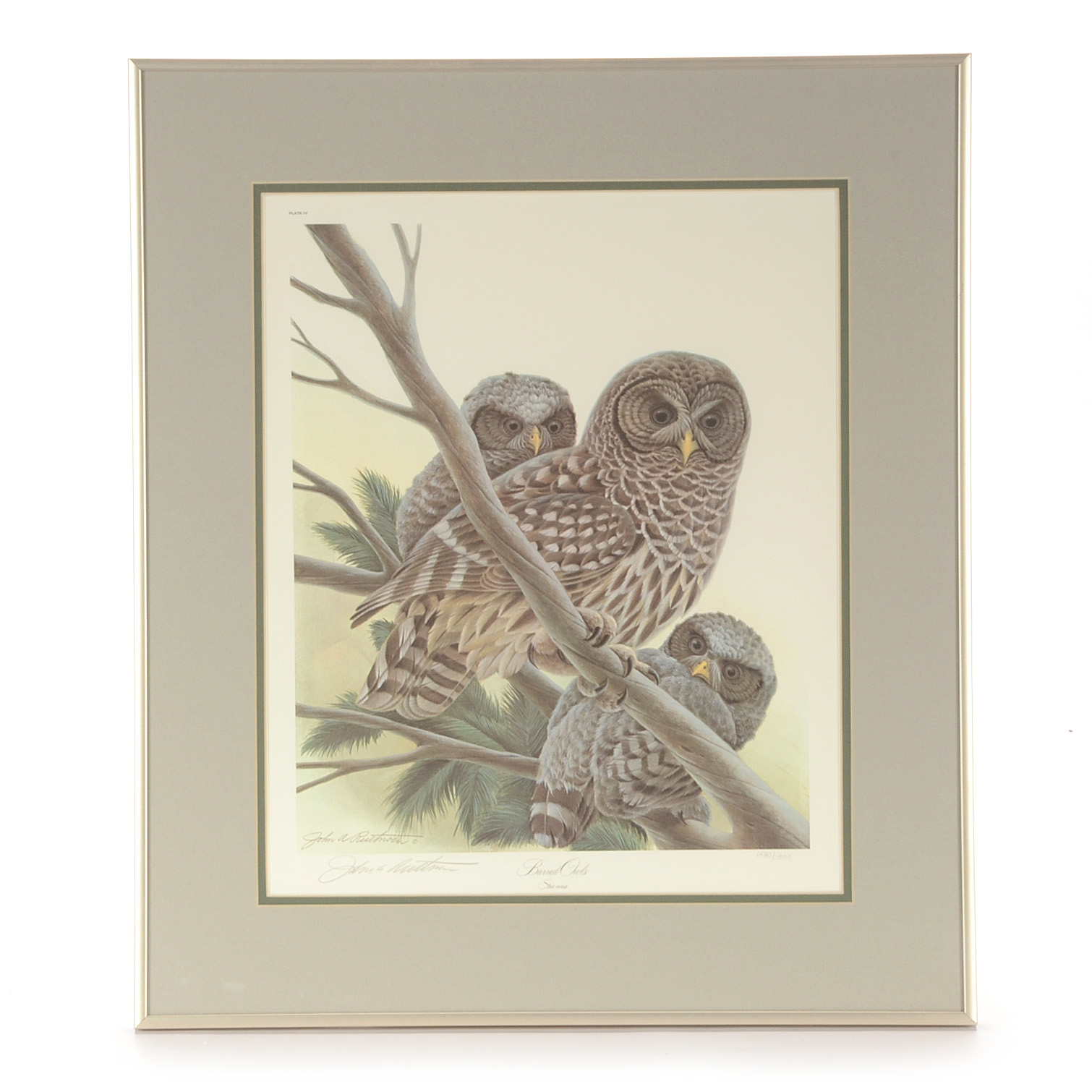 John Ruthven Signed Limited Edition Offset Lithograph "Barred Ow