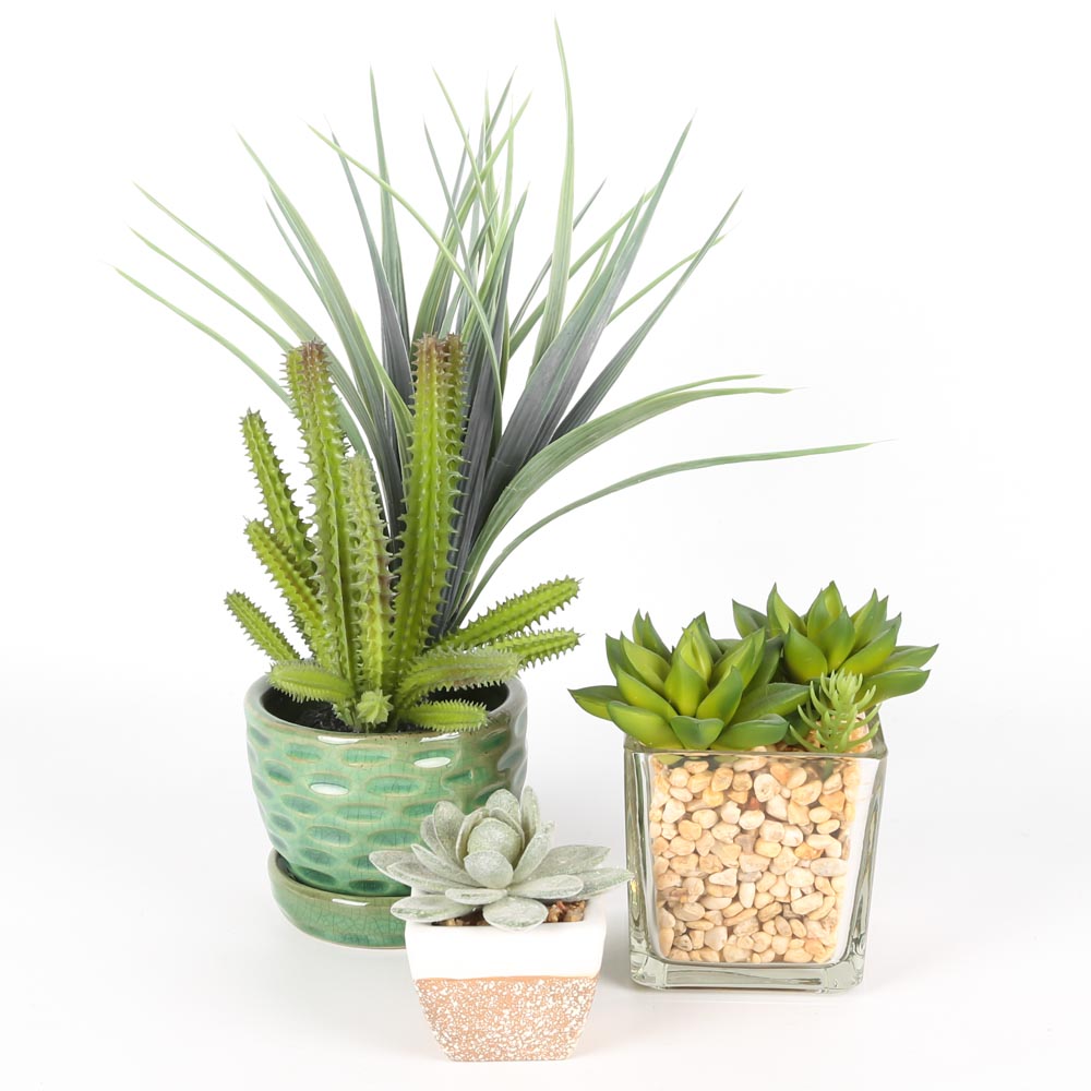 Faux Succulents