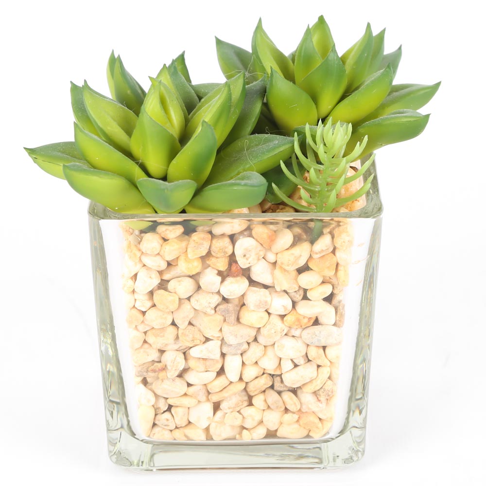 Faux Succulents