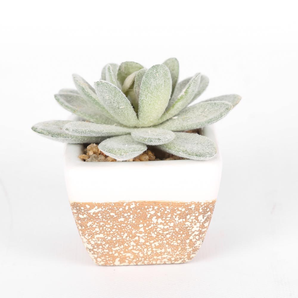 Faux Succulents