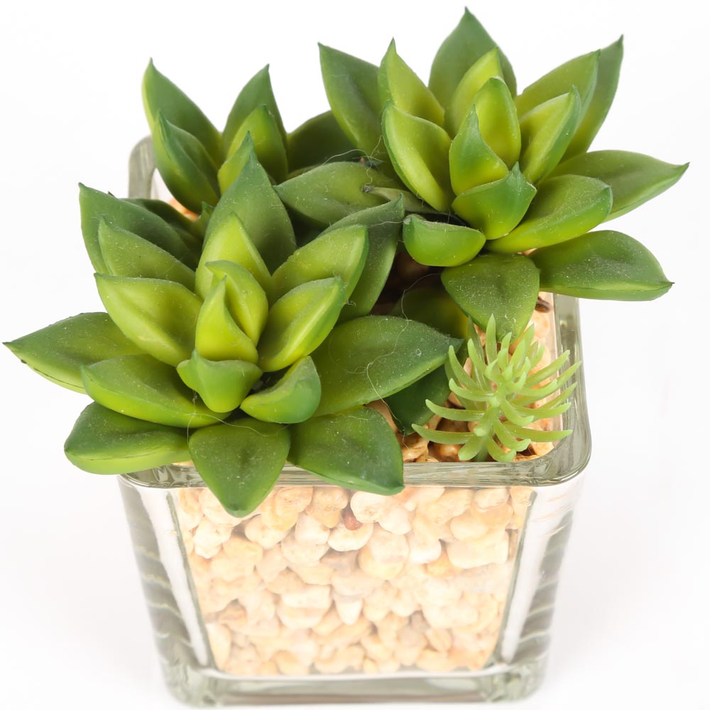 Faux Succulents
