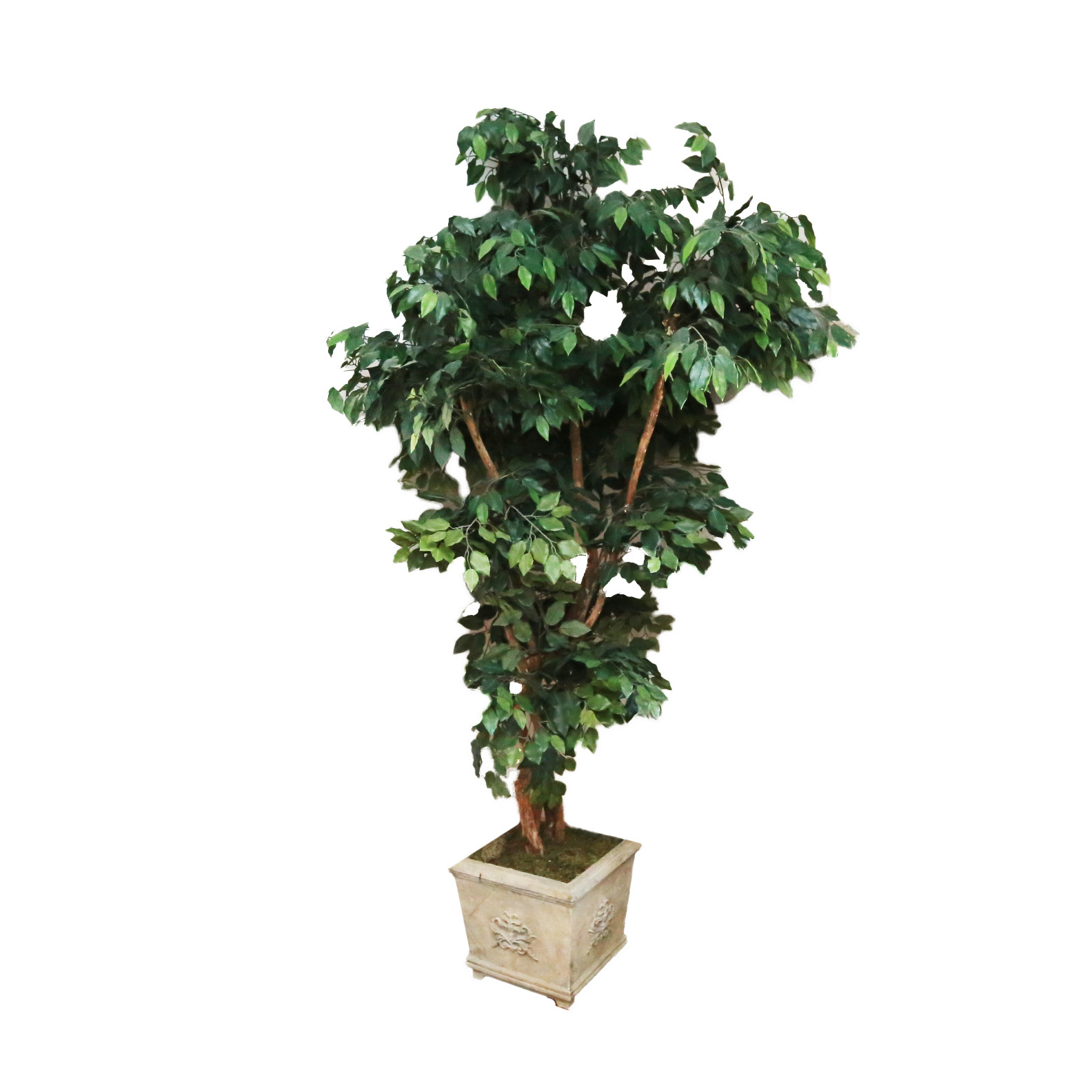 Faux Ficus Tree