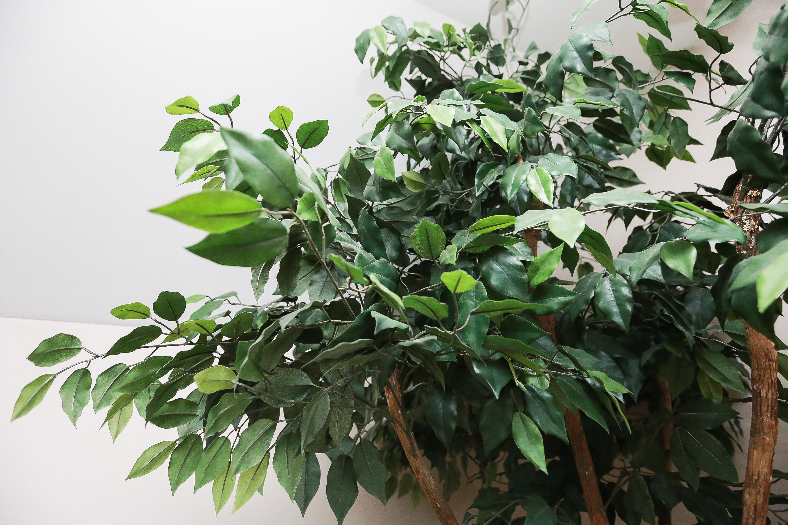 Faux Ficus Tree