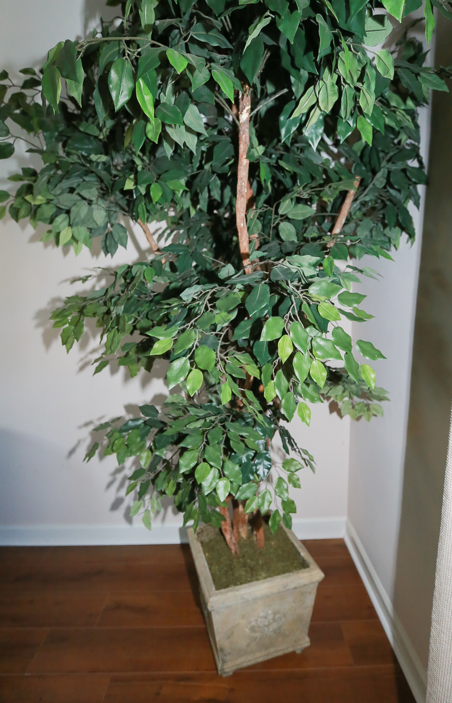 Faux Ficus Tree