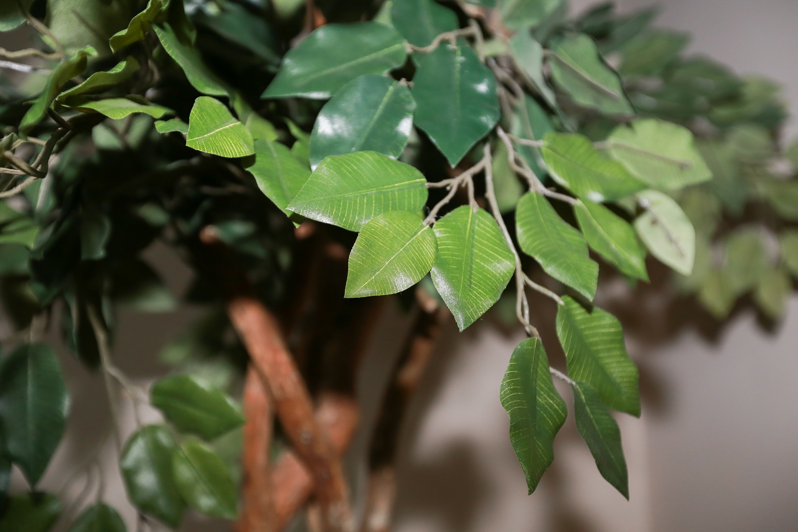 Faux Ficus Tree