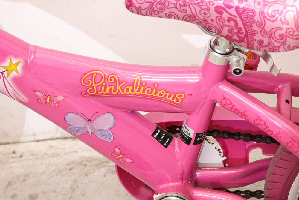 Girls Pinkalicious Bicycle with Training Wheels