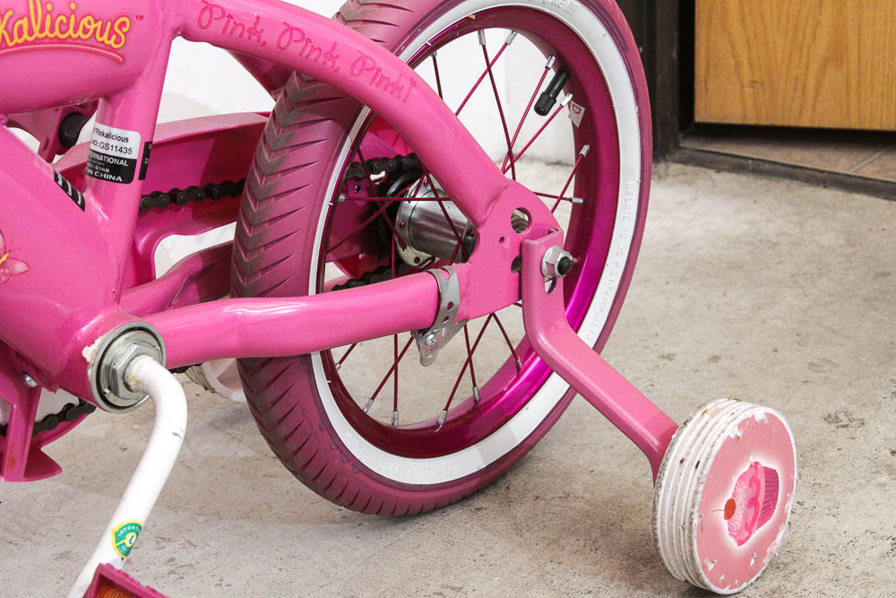 Girls Pinkalicious Bicycle with Training Wheels