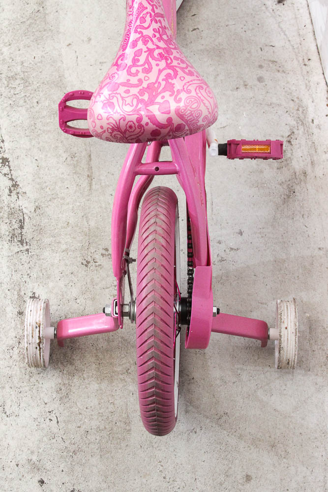 Girls Pinkalicious Bicycle with Training Wheels