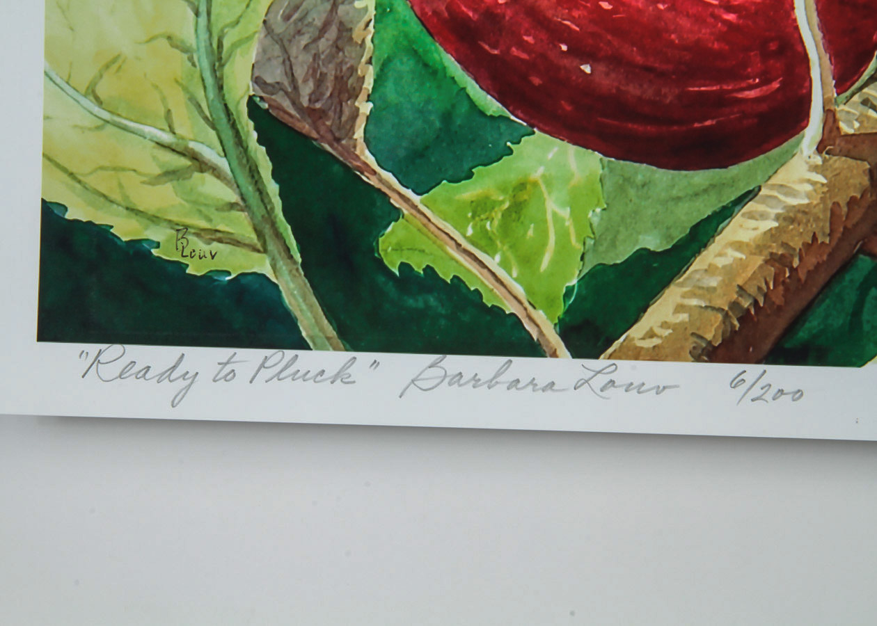 Barbara Louv Limited Edition Giclée on Paper "Ready to Pluck"