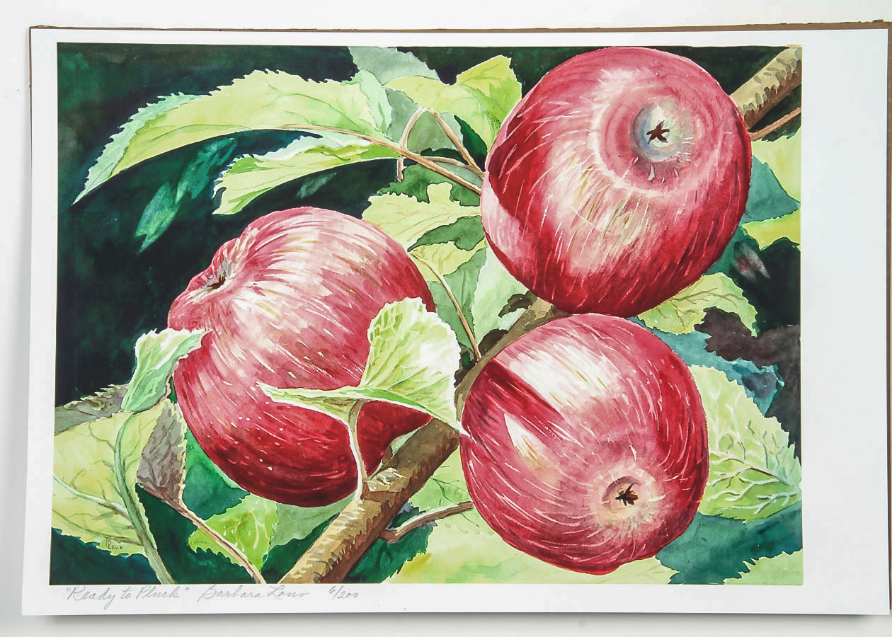 Barbara Louv Limited Edition Giclée on Paper "Ready to Pluck"