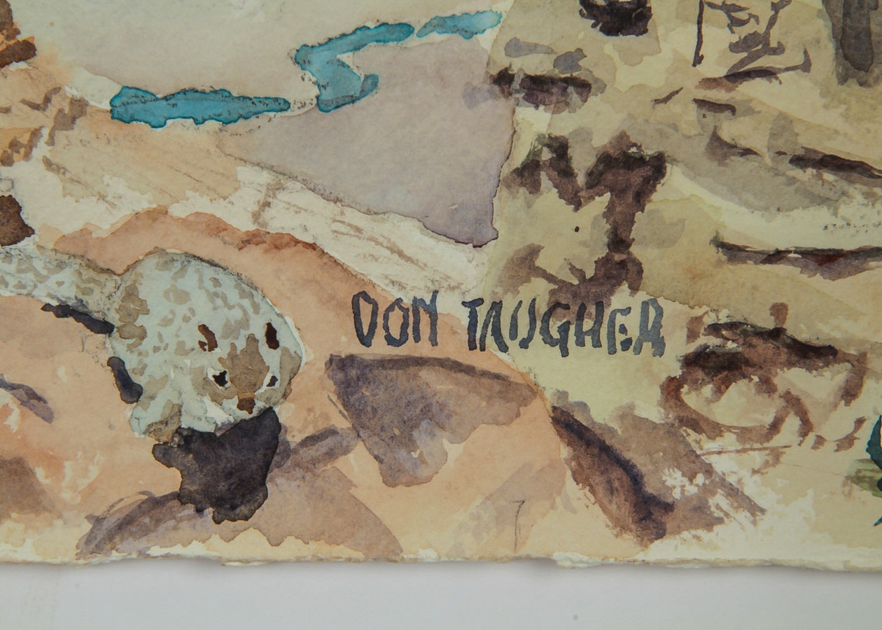 Don Taugher Watercolor Painting on Arches Paper "View of the Grand Canyon"
