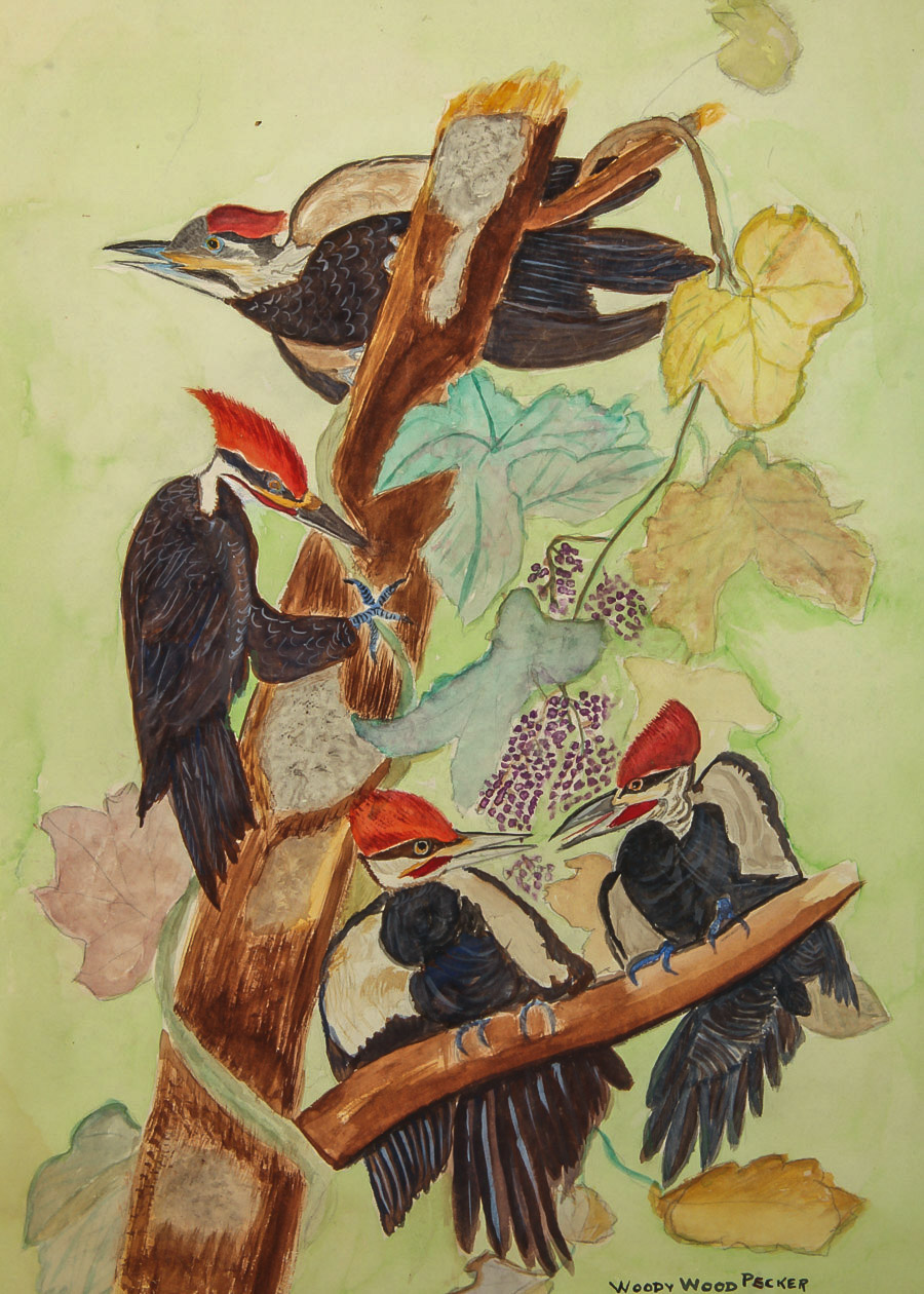 M. Witkower Watercolor and Gouache Painting on Paper "Woody Woodpecker"