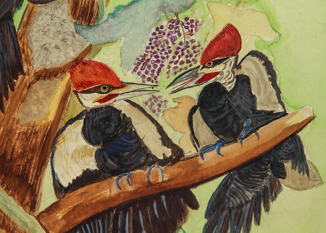 M. Witkower Watercolor and Gouache Painting on Paper "Woody Woodpecker"