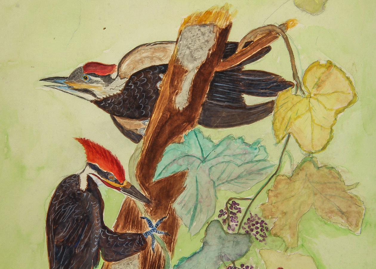 M. Witkower Watercolor and Gouache Painting on Paper "Woody Woodpecker"