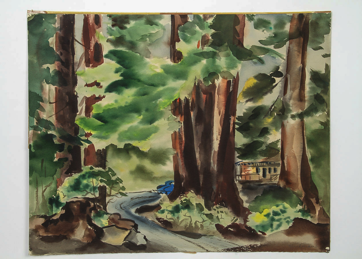 Muriel Backman Watercolor Painting on Paper "Redwood Canyon"