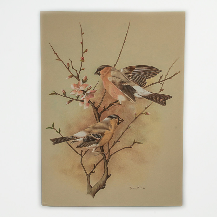 Ngoxuan Phuoc Prisma Print on Paper "Ornithological Study"