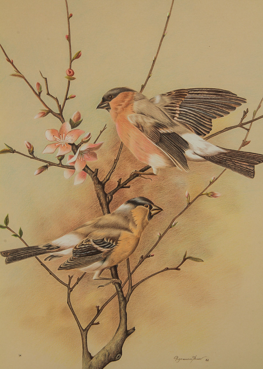 Ngoxuan Phuoc Prisma Print on Paper "Ornithological Study"