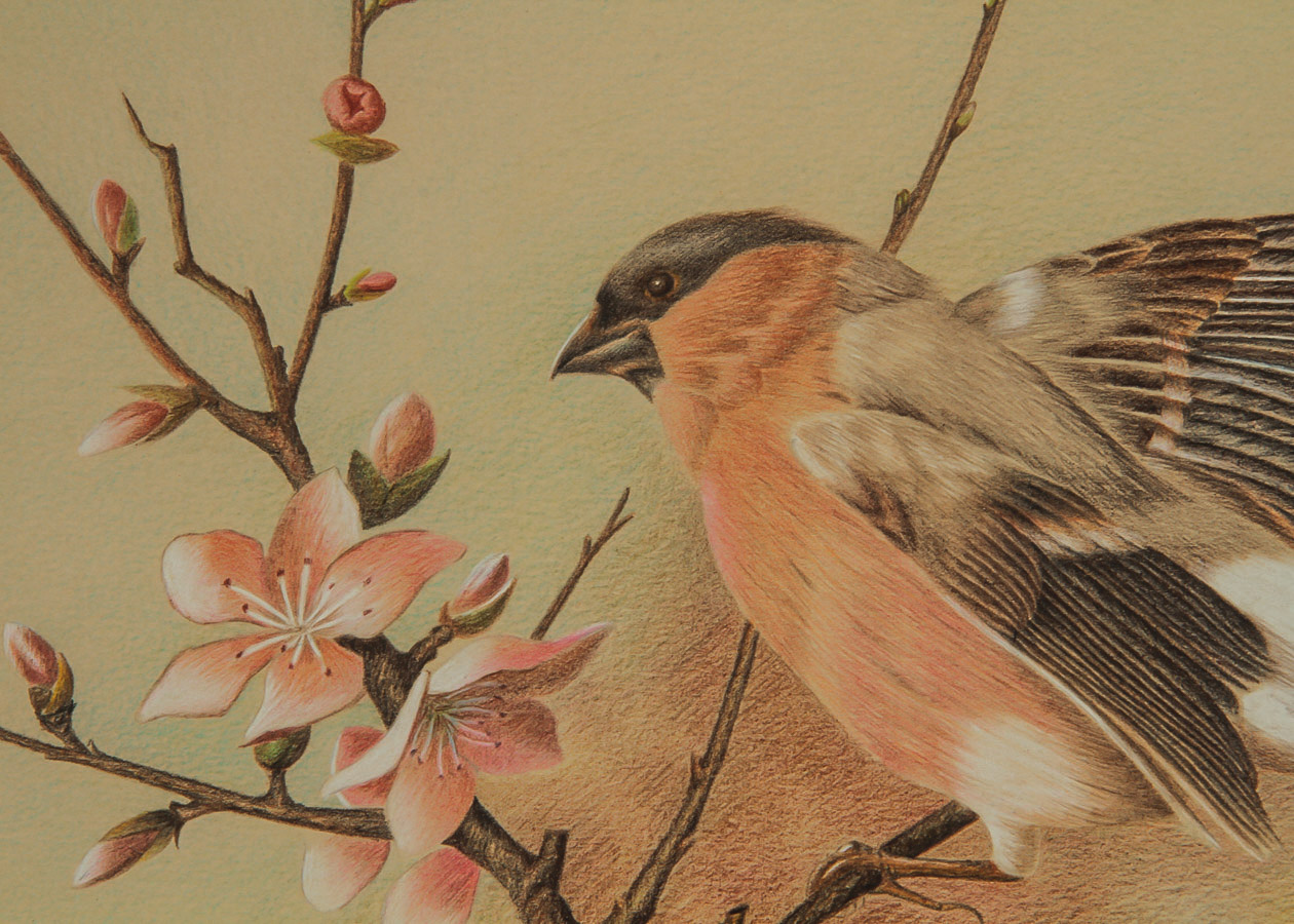 Ngoxuan Phuoc Prisma Print on Paper "Ornithological Study"