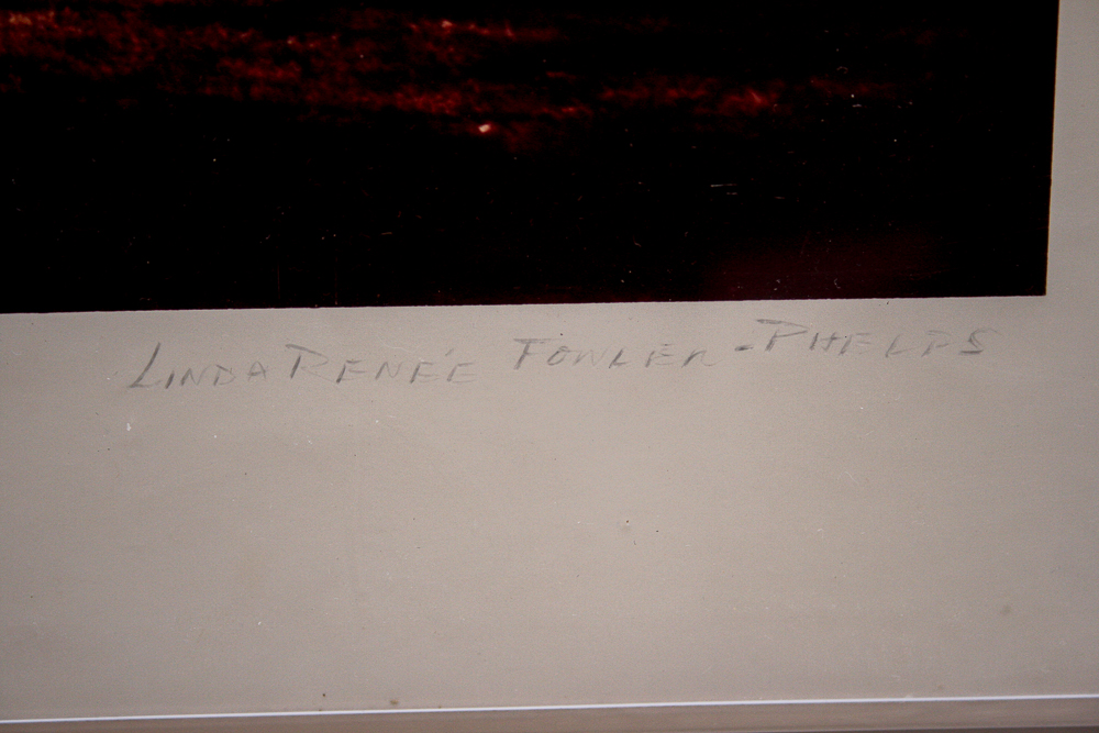 Landscape Photographs by Various Artists