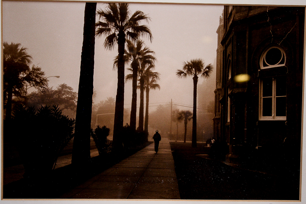 Landscape Photographs by Various Artists