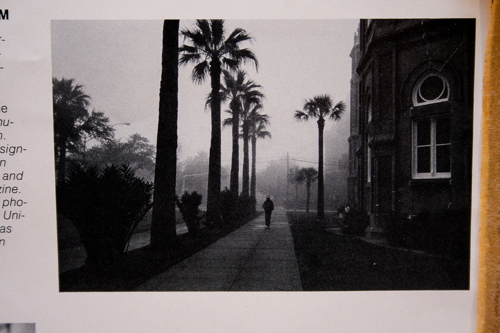 Landscape Photographs by Various Artists