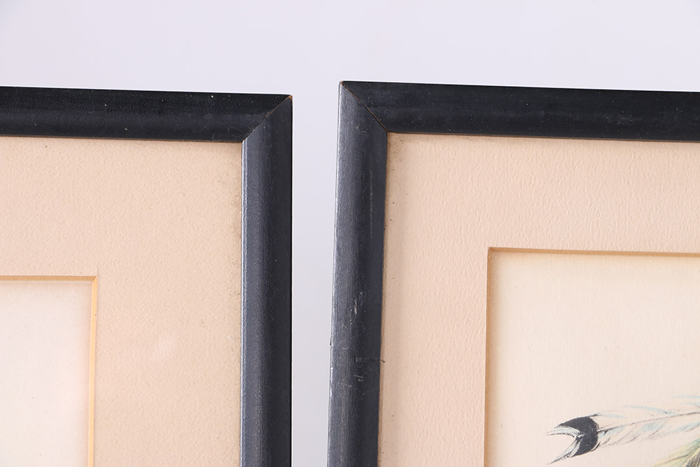 McKenney and Hall Lithographs From "History of The Indian Tribes of North America"