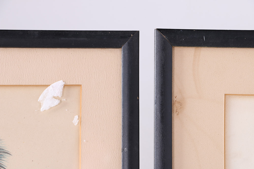 McKenney and Hall Lithographs From "History of The Indian Tribes of North America"