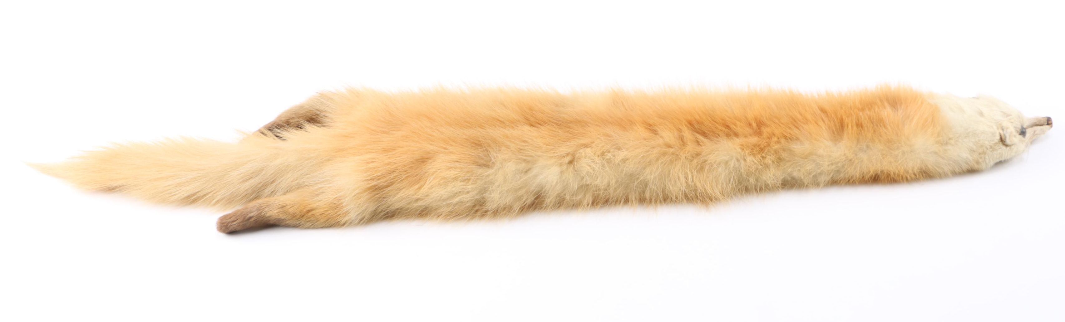 Mink and Marten Stoles