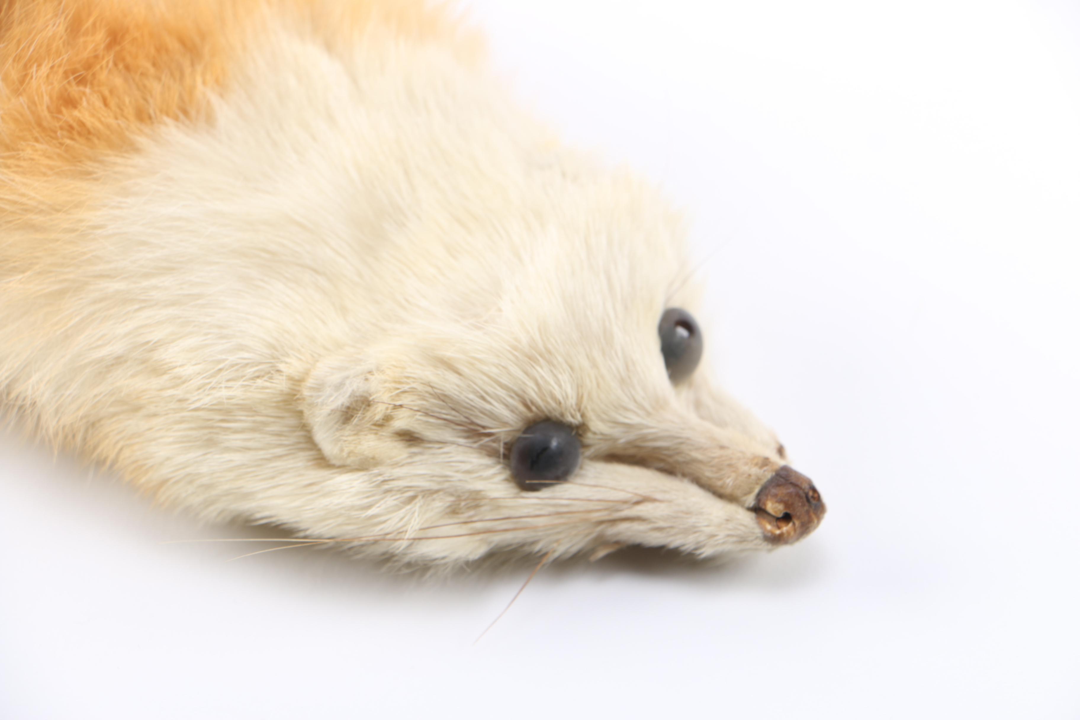 Mink and Marten Stoles